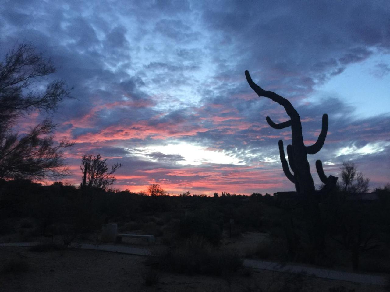 Spur Cross Inn Cave Creek Zewnętrze zdjęcie